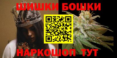 гашик Новокубанск