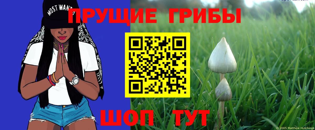 Феодосия  Галлюциногенные грибы Magic Shrooms  Вход с VPN 